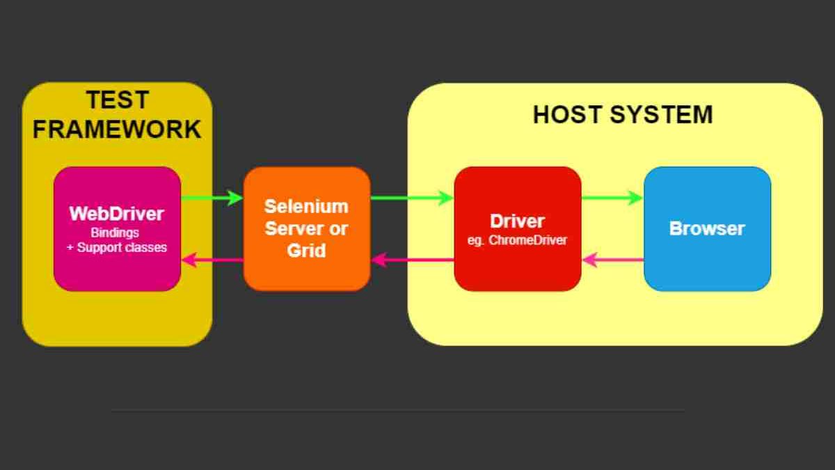 What Is Selenium WebDriver? The Tool That’s Revolutionizing Automation